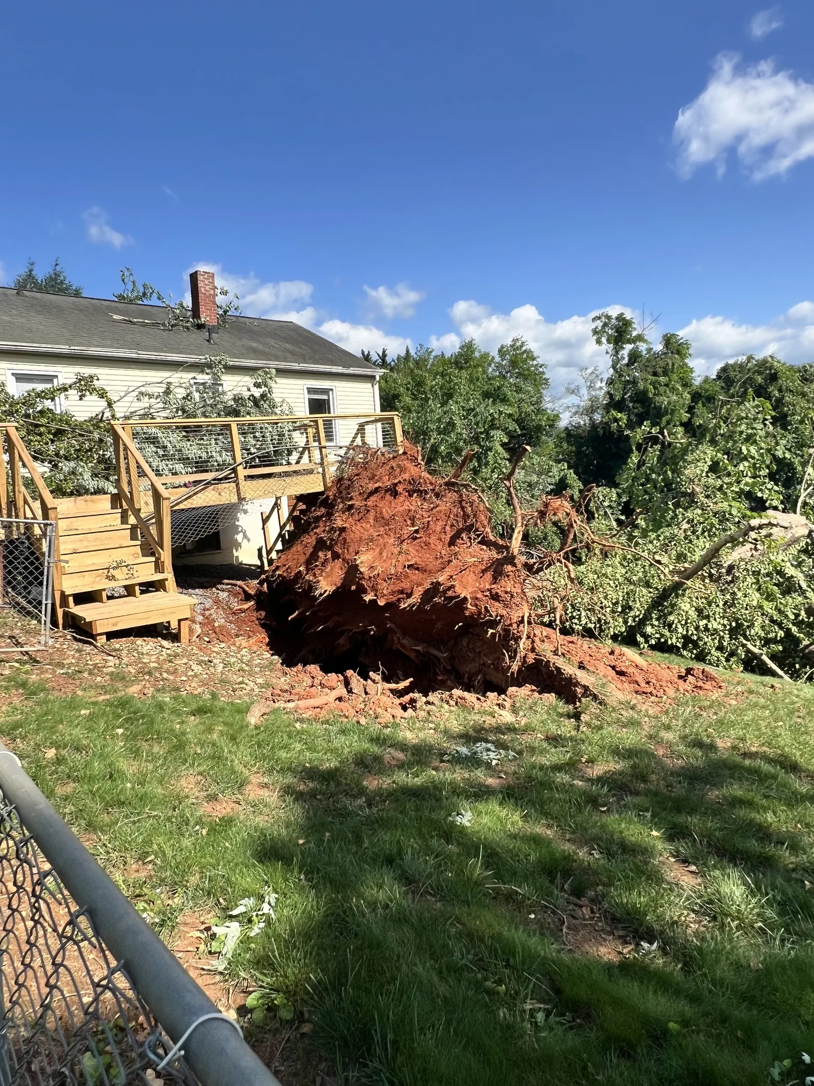 Storm-toppled tree with exposed root ball next to a home
